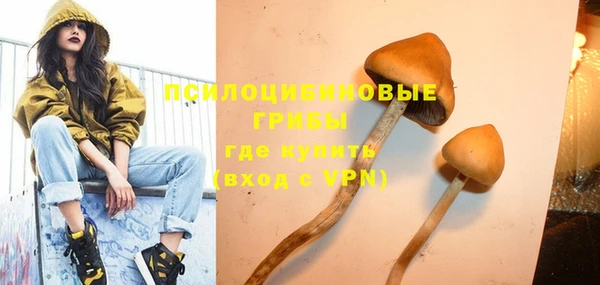крисы Абаза