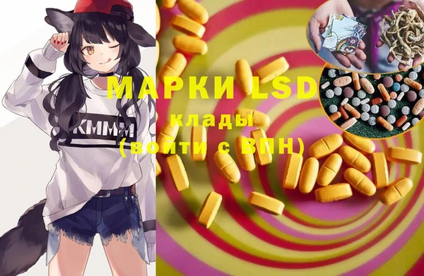 крисы Абаза