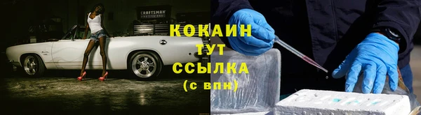 крисы Абаза