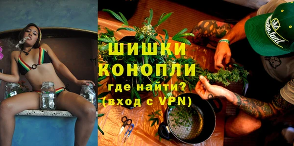 крисы Абаза