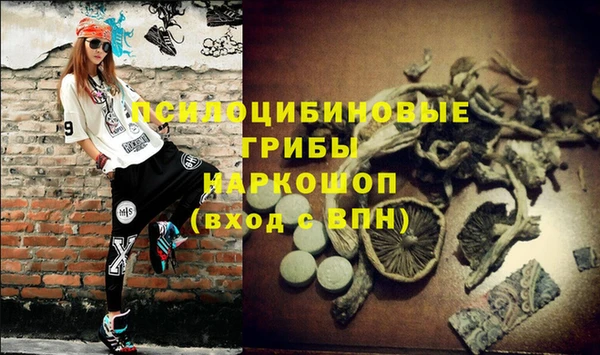 крисы Абаза