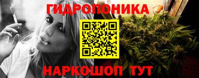стафф Кинель