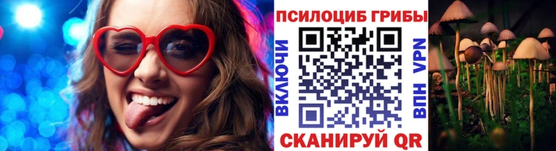 Галлюциногенные грибы мухоморы  купить наркотик  Котовск 
