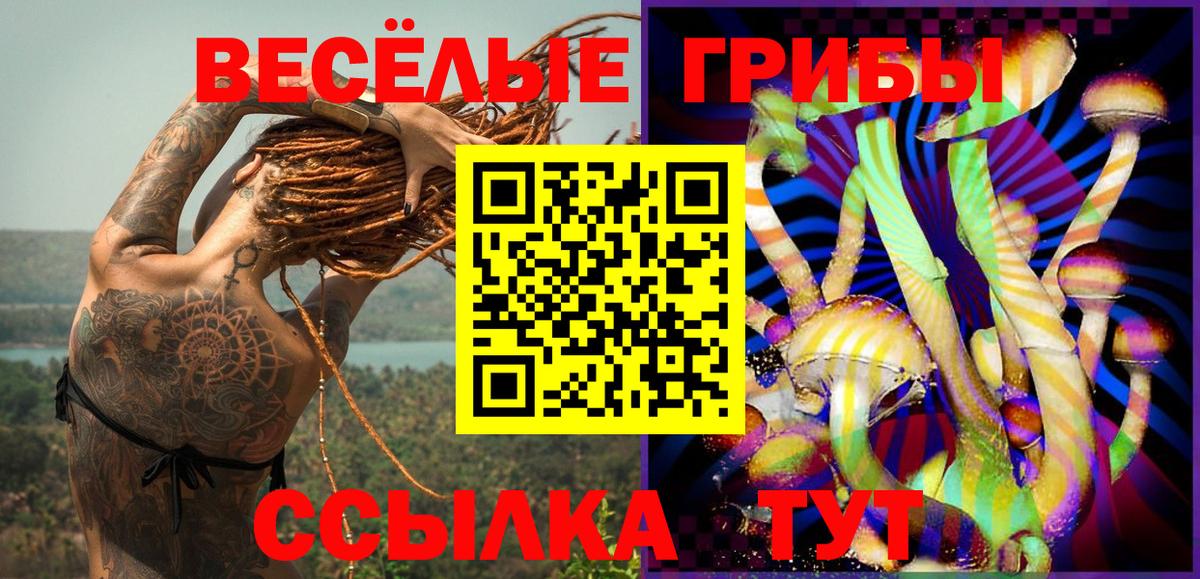 Котовск  Галлюциногенные грибы Psilocybine cubensis  Галлюциногенные грибы GOLDEN TEACHER  Вход с VPN 